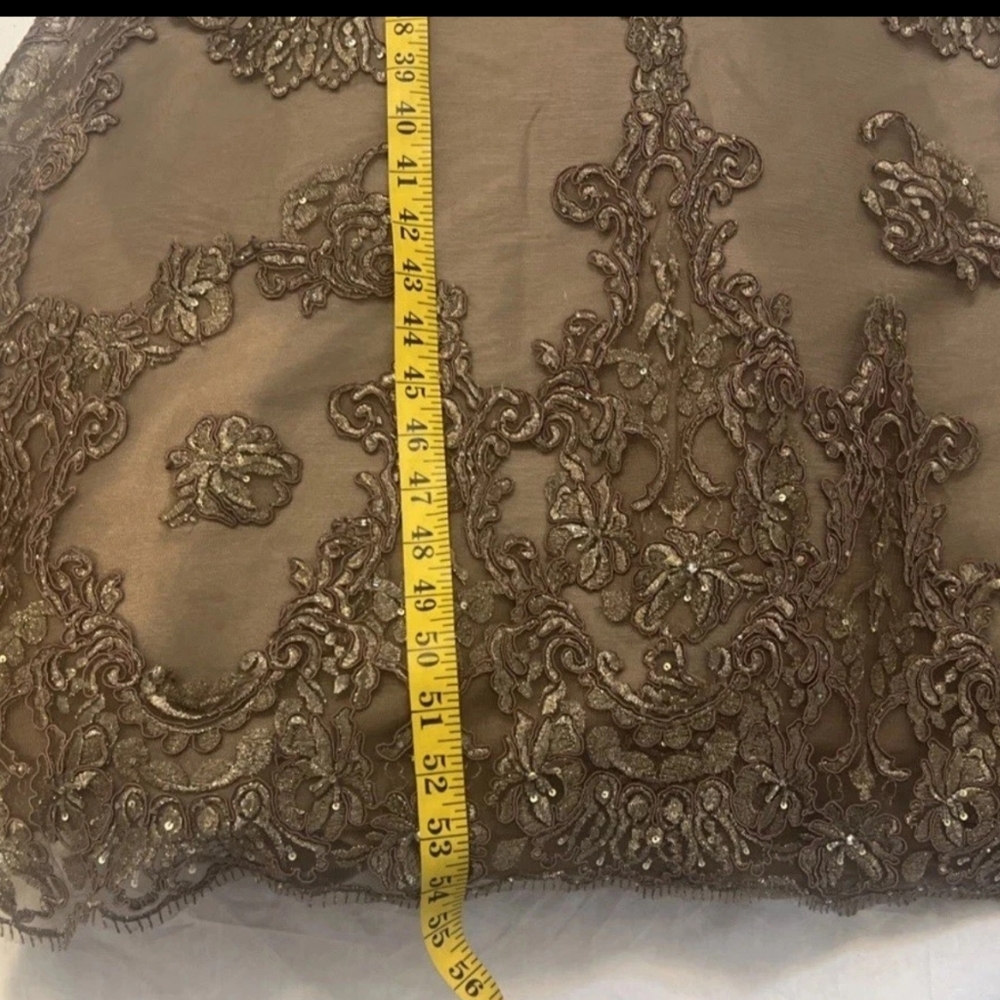 Elegant Lace Evening Gown, By Evonne D for Mon Cherie - Picture 11 of 13